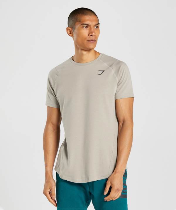 Panske Tricka Gymshark Bold Siva | OK3902861
